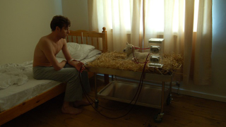 Illustration for article titled Why the Heck Is This Guy Using a Sheep As a Dialysis Machine?